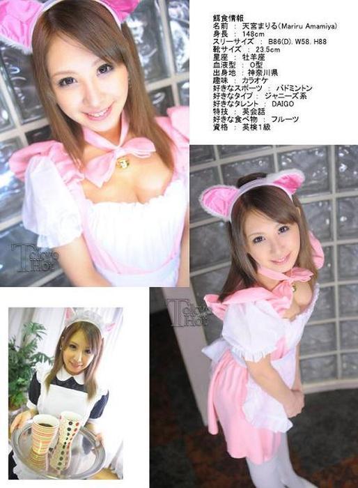 Lewd Housemaid [2011/DVDRip]