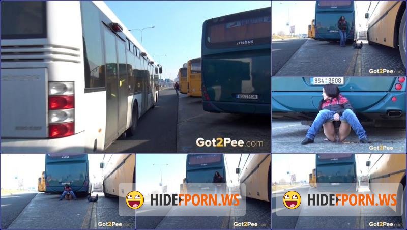 Got2Pee.com - Unknown - Video-bus-depot [FullHD 1080p]
