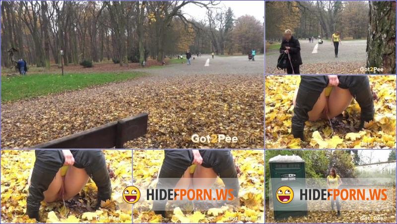 Got2Pee.com - Unknown - Video public park [FullHD 1080p]