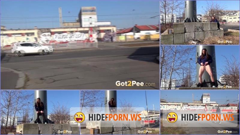 Got2Pee.com - Unknown - Video-on-display [FullHD 1080p]