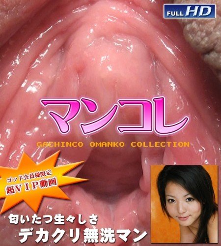 Gachinco.com - Asian Girls - Omanko collection 030 [FullHD 1080p]