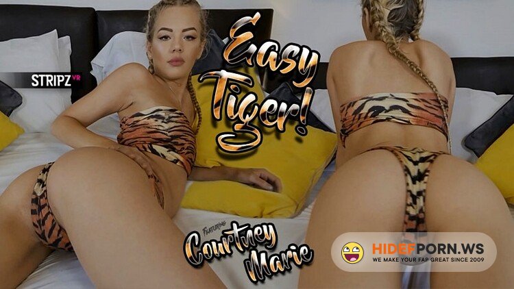 StripzVR.com - Courtney Marie - Easy Tiger [UltraHD/4K 2880p]