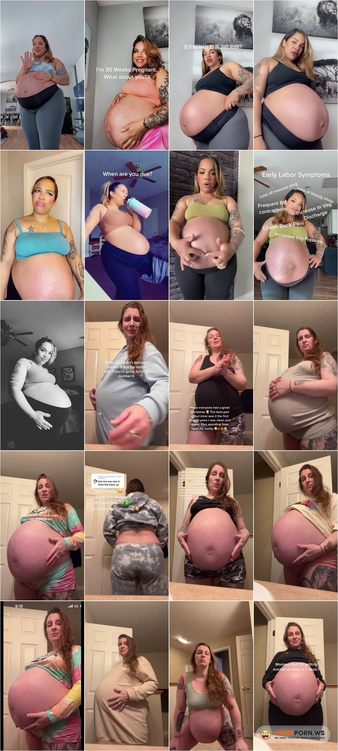 Preggo Compilation - Pregnant Compilation - Brookesobasic and Renae W - NN Monster Bump Pregnant  Compilation HD 1024p Â» HiDefPorn.ws
