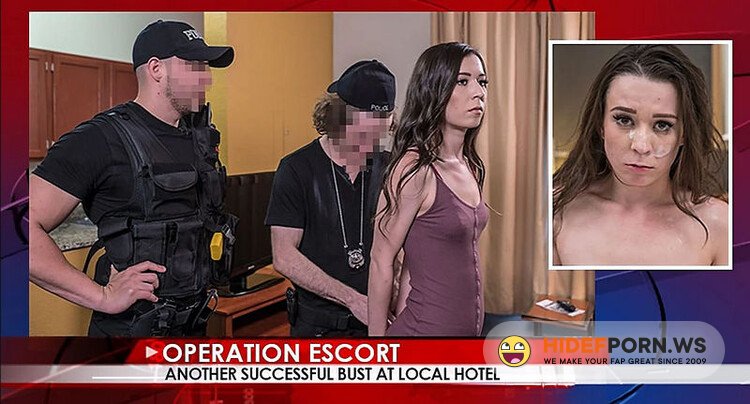 OperationEscort.com - Ariel Grace - Another Successful Bust At Local Hotel [FullHD 1080p]