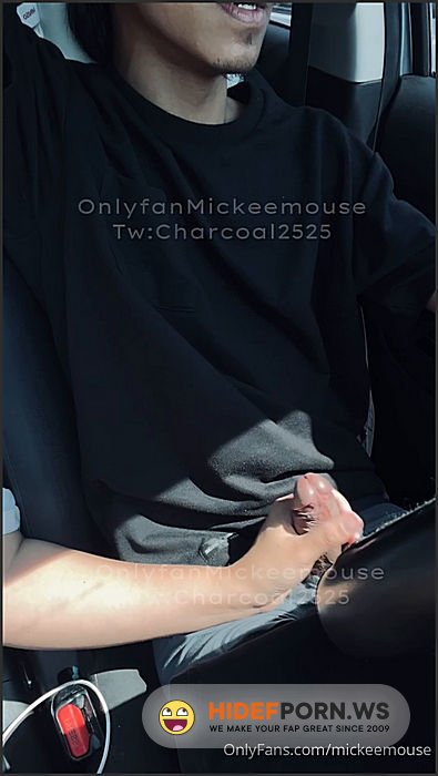 - Mickeemouse 202502193700248908 [SD 1920p] - 2025
